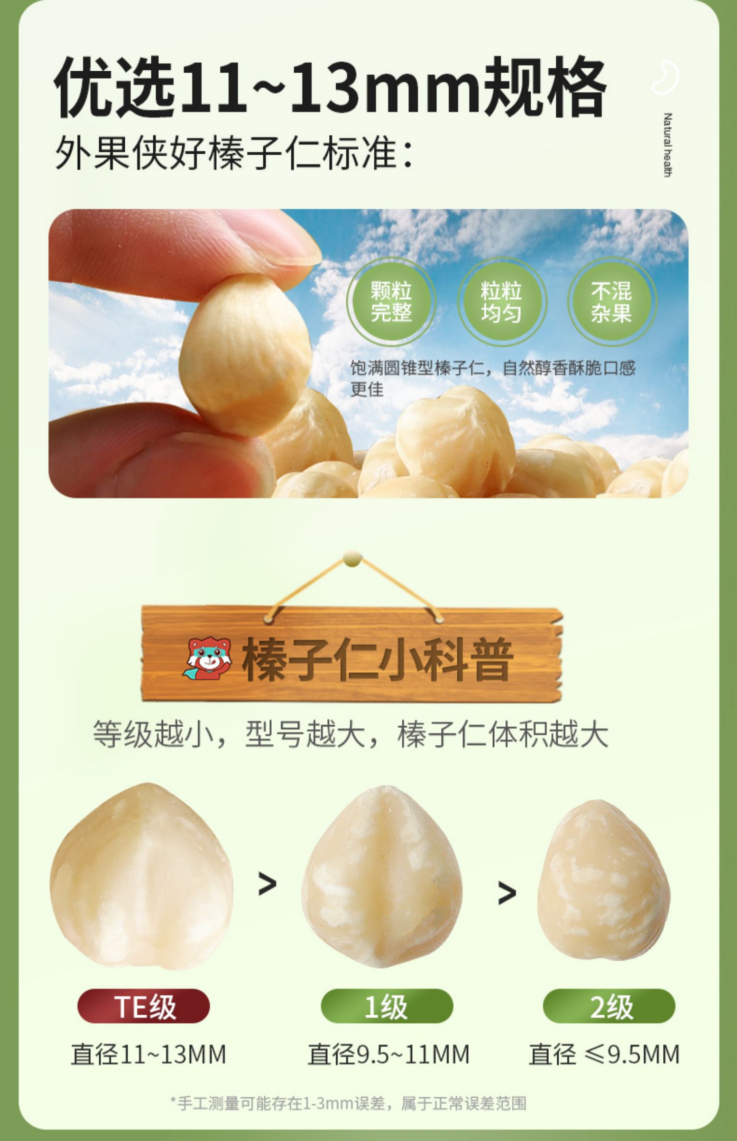 原味土耳其生烘焙熟榛子仁坚果500g