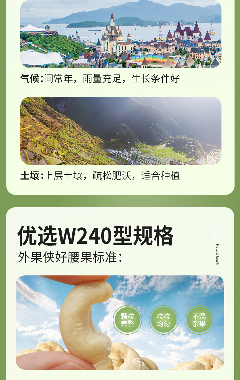 外果侠 越南原味腰果仁 500g/罐 W240大粒 券后39元包邮 买手党-买手聚集的地方