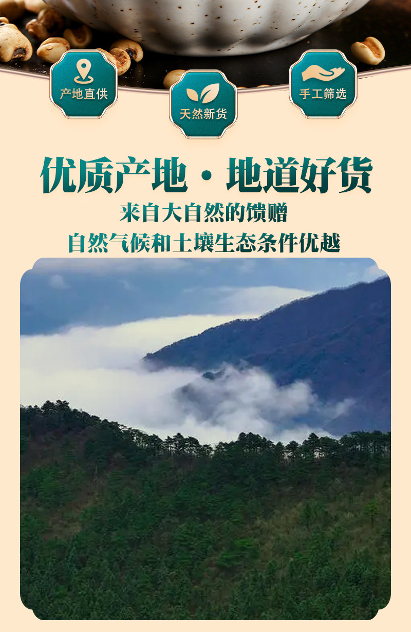 Stir-Fried Coix Seed Yi Yi Ren 500g Dried Job's Tears for Tea Soup and Congee key features