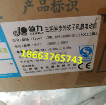 Dunli fan YWF A4T-250S-5DIIIA00 three-phase asynchronous external rotor motor fan 380V volt