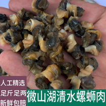 Micromountain Lake Original Ecological Screw Meat Fresh Snail Meat Fields Snail Meat Handpicked Vacuum Packing 1 catty
