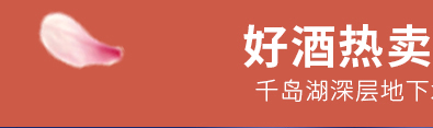 千岛湖啤酒乐享时光500ml*24罐