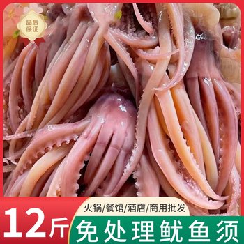 Fresh squid tentacles, fresh frozen squid
