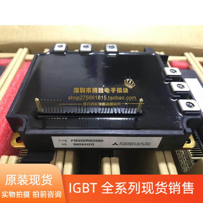 PM150RSE120 PM100RSE120 PM200RSD060 PM300RSD060