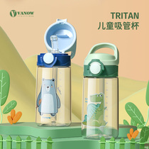 British Vanow childrens water Cup summer boys and girls on students with straws special kindergarten straight drinking pot