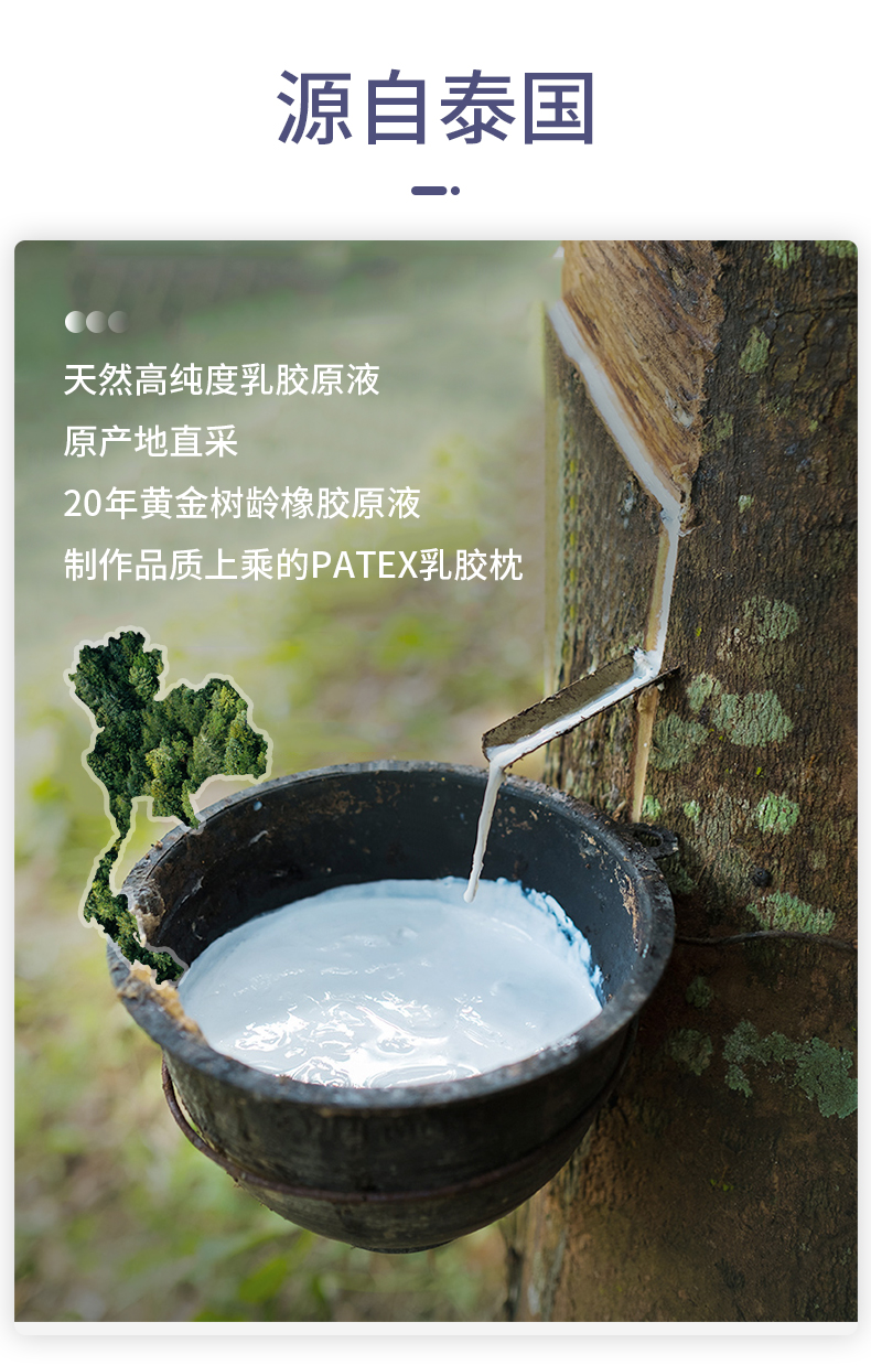 泰国进口，PATEX 天然乳胶枕头 券后98元包邮 值值值-买手聚集的地方