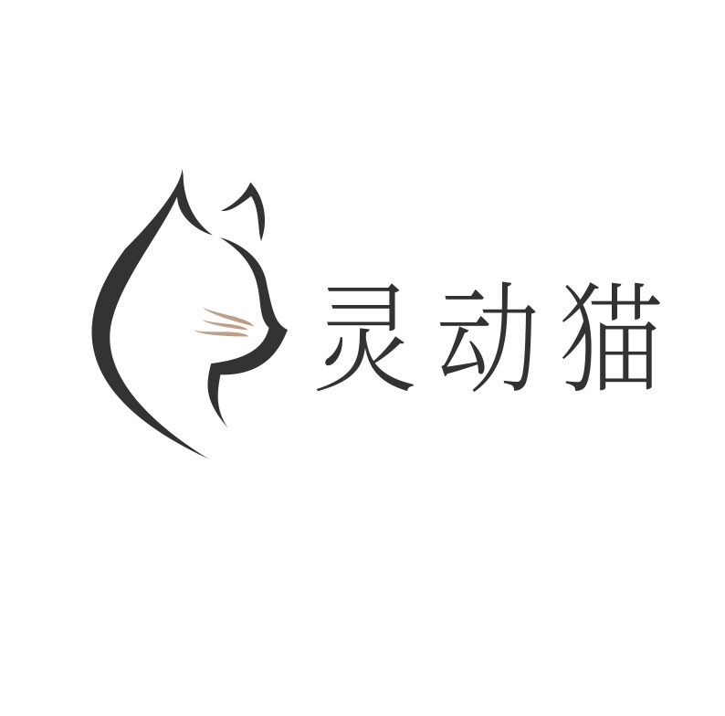 灵动猫舞蹈服装