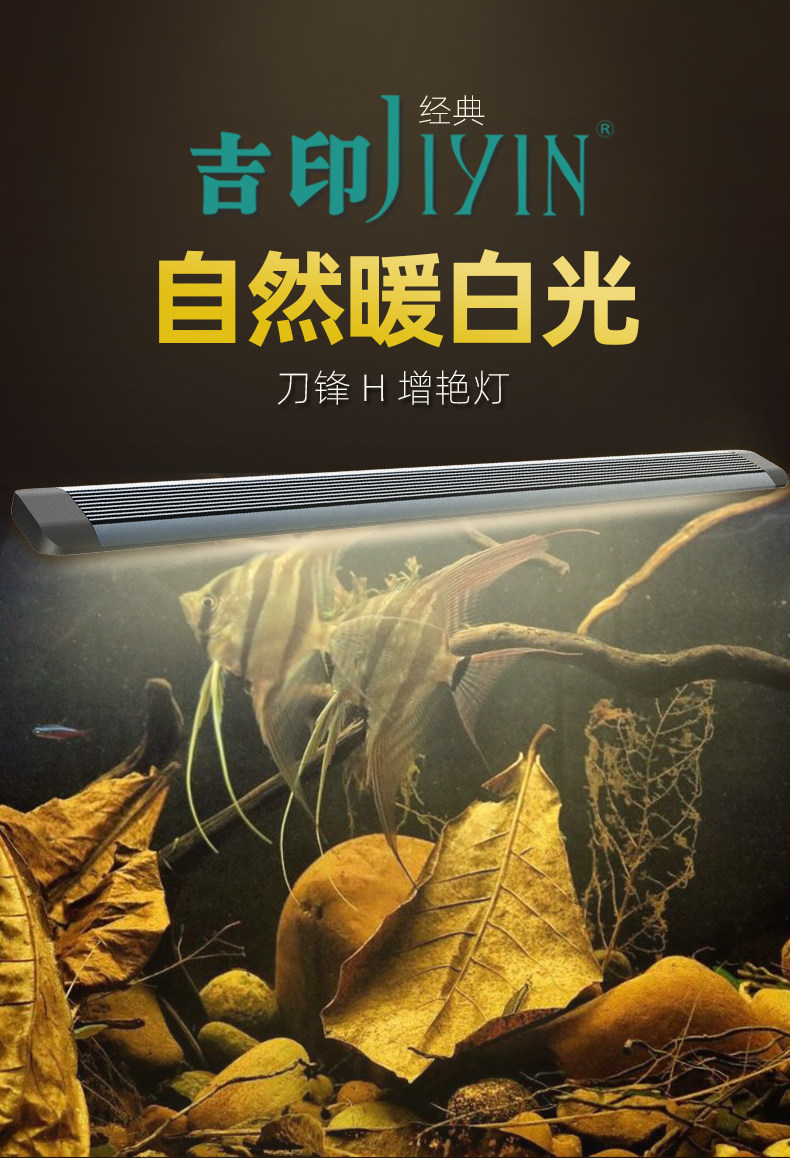 Giga printing blade H South American cylinder view special lamp augmented viewing lamp LED waterproof lights Fish cylinder lamp