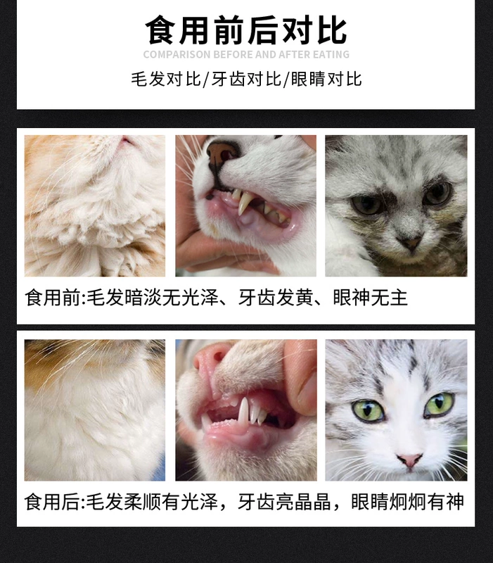 SeaKingdom Cat Biscuits 100g Vương quốc hải sản Đồ ăn vặt Cá ngừ mèo 2 vị Cá khô - Đồ ăn nhẹ cho mèo