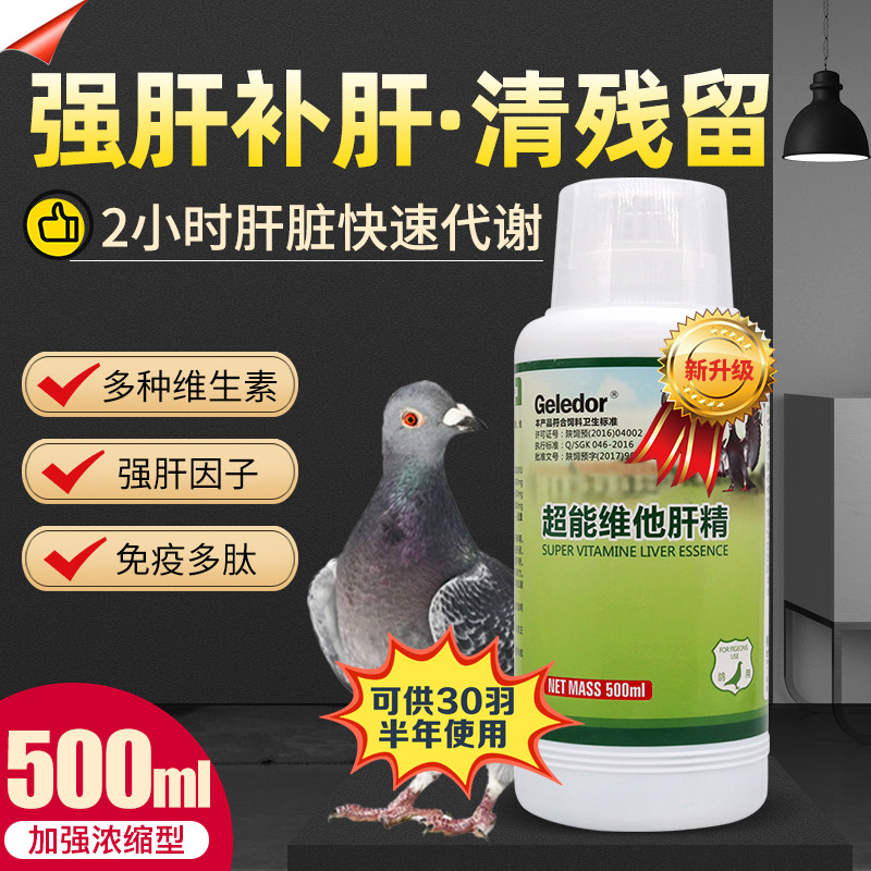 Pigeon liver sperm dove drug dove with liver sperm nutrient medium dove pigeon dove with nourishing liver and kidney and high flying pigeon medicine