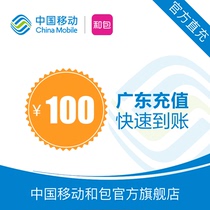 Rechargement des frais dappel de téléphonie mobile de Guangdong RMB100 Fast charge jusquà 24 heures Réalimentation automatique rapidement pour rendre compte