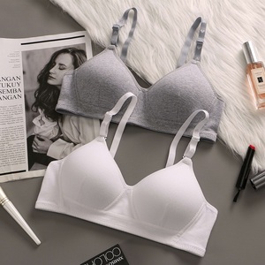 纯棉无钢圈少女薄款文胸聚拢定型
