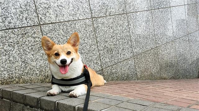 趣值买