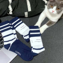 COSMOS new CITY BOY styling INS Brief collections of long socks in blue zebra grain stacking