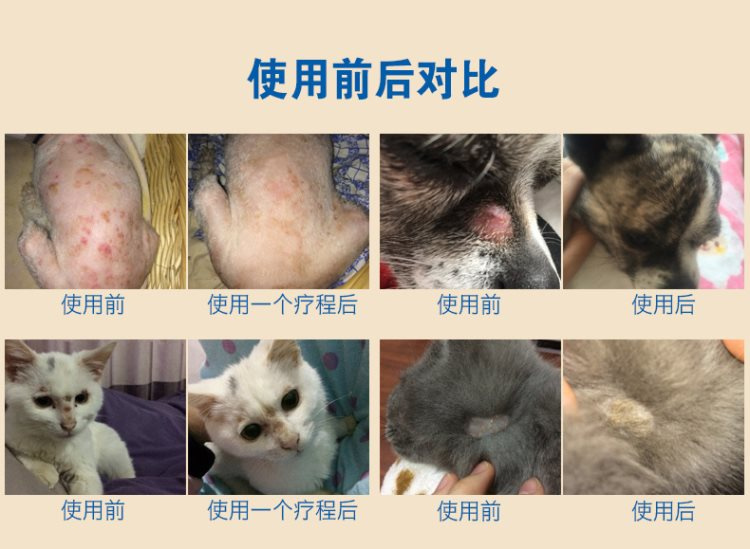 Bệnh da chó nhiễm nấm 100 thú cưng thú cưng thuốc thú cưng mèo 癣 mèo 藓 terbinafine phun - Cat / Dog Medical Supplies 	bộ kim tiêm thú y
