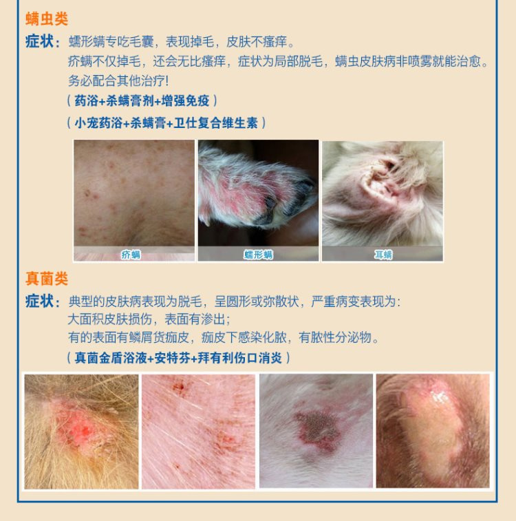 Bệnh da chó nhiễm nấm 100 thú cưng thú cưng thuốc thú cưng mèo 癣 mèo 藓 terbinafine phun - Cat / Dog Medical Supplies