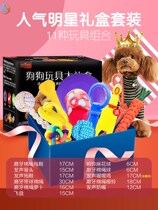 Pet ball toys nibble dog ball ball birthday golden hair elastic Teddy training small dog toy ball like