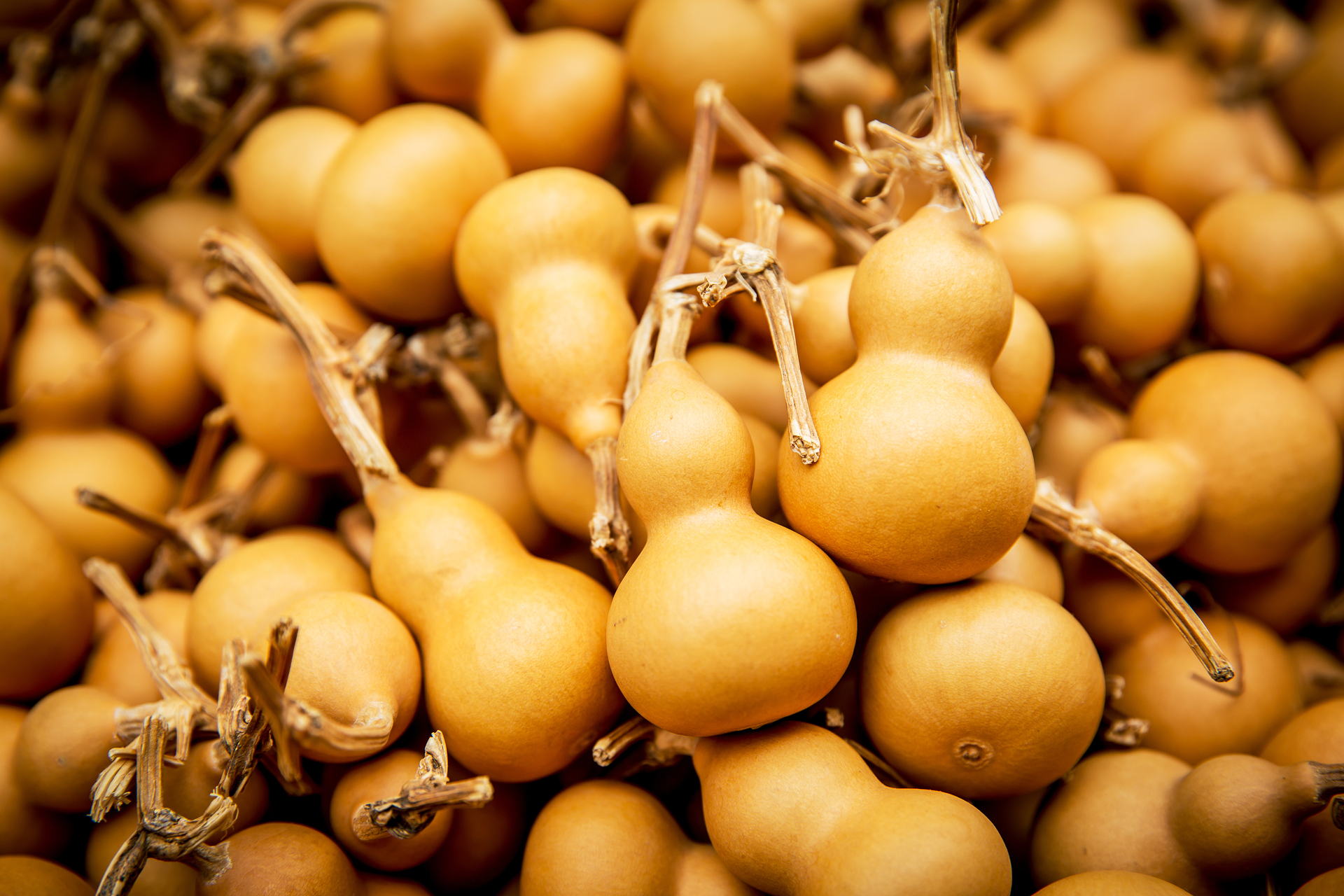 Natural small plinth to play the playwin Gourd Handpan Porcelain Peel the head can pick the handlebar piece hem