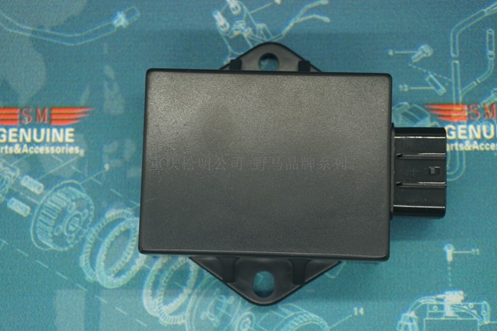 Zongshen RX3 NC250 T6 Zhenglin RX1 Eche extreme thief Beihai 250 off-road vehicle ZS150-51