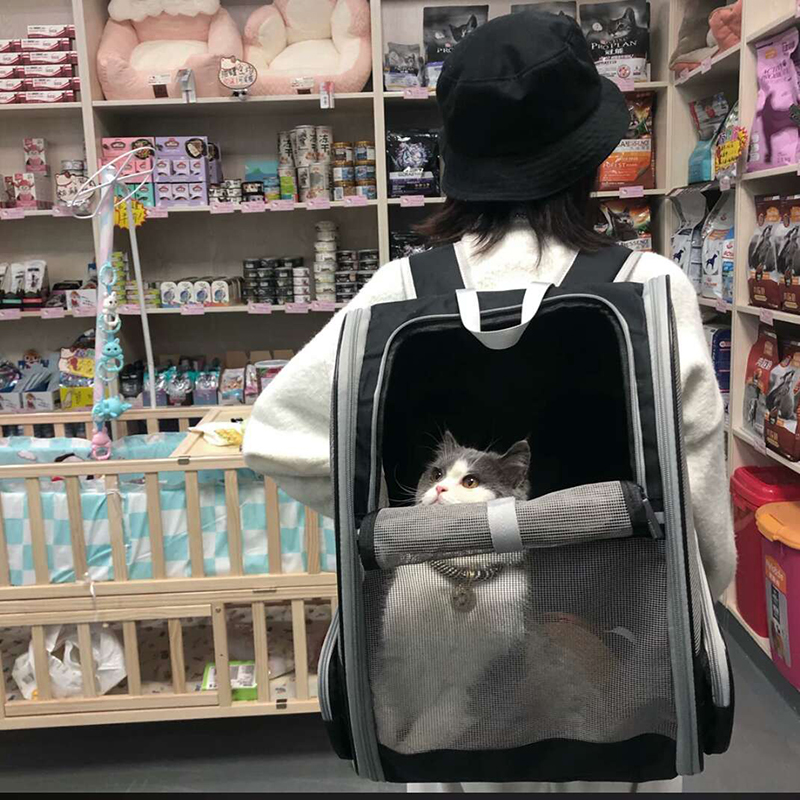 Cat Bag Out of Portable Breathable Double Shoulder Bag Pooch out of bag Folding Larch Pet Bag Back Cat Bag