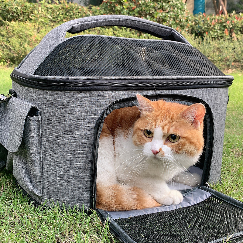 Large Number of Cat Bags Out of Portable Pet Bags Carry-on and Folding Dogs Bag Cat Cages Carry Kittens supplies