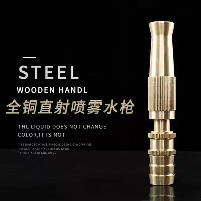 Direct injection copper high pressure water gun copper household car wash brush car water gun nozzle car washer car pressure cleaning gun head