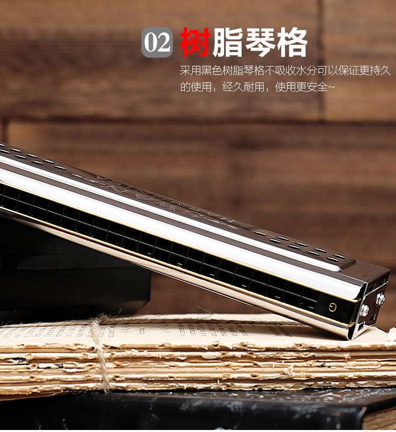Chính hãng Swan 24 lỗ đôi kèn đôi hai giai điệu Người lớn nâng cao C giai điệu G trẻ em mới bắt đầu Chuyên nghiệp chơi nhạc cụ - Nhạc cụ phương Tây đàn phong cầm