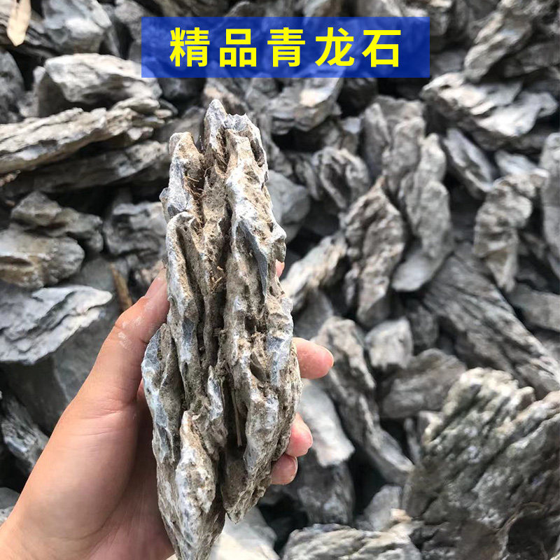 青龙石酸洗小英石:🌊水族造景新宠,天然美景就在你家!🌟-造景-淘宝好物网
