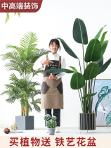 Roman mother Nordic simulation plant decoration scattered tail sunflower traveler banana large green plant potted fake bonsai ornaments