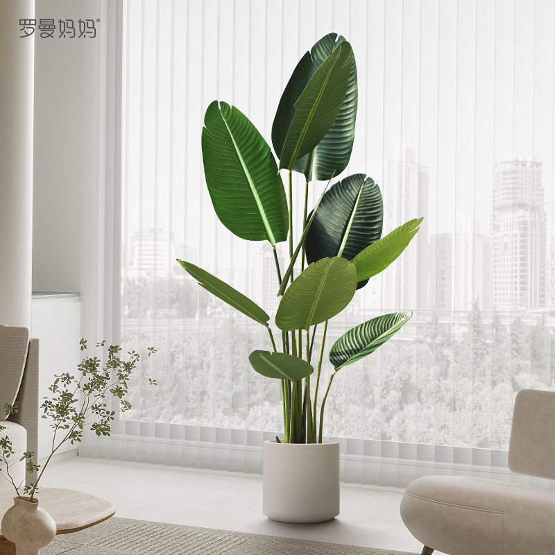 Roman Mom Northern Europe Red Simulation Plant Pot Fake Green Plant Traveller Banana Indoor Living Room Decoration