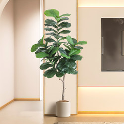 Roman Mama Simulated Green Plant Leaf Banyan Large Bionic Plant Indoor Living Room Tv Cabinet Background Wall Fake Potted Plant
