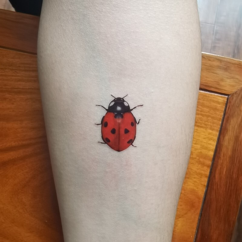 Sanerlian Ladybug Tattoo Sticker Original Retro Waterproof Long-Lasting Hand-Painted Insect Cartoon