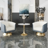 Светлый роскошный одноразовый диван -стул переговоров о приеме стола и комбинированном кресе