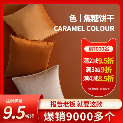 Caramel Color Velvet Pillow Sofa Living Room Light Luxury Modern Ins Wind Cushion Milk Brown Bedside Waist Pillow Pillow