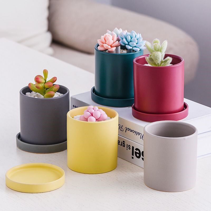 Succulent flower pot ceramic with tray Nordic ins flower pot small white cactus succulent special pot