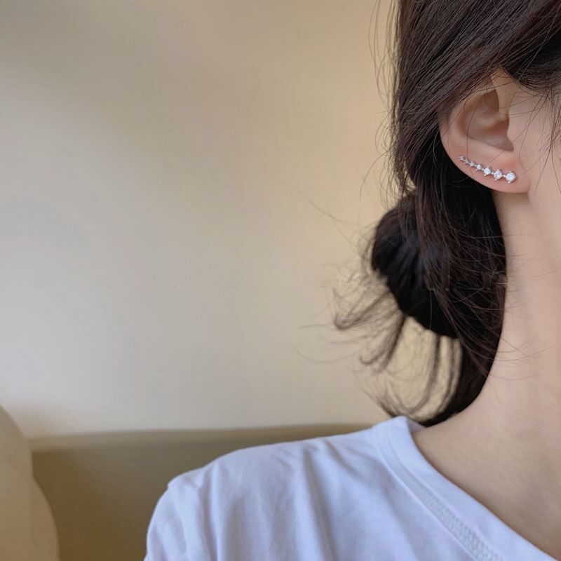 South Korea's Dongdaemun row of zircon earrings female summer niche design sense of high-end ear needle net red hot girl earrings