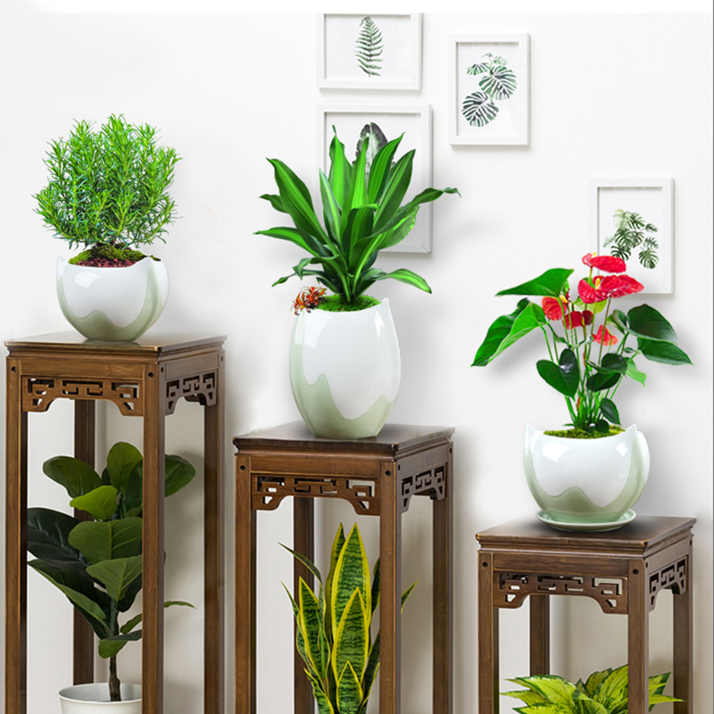 Ceramic green plant large special pot money plant orchid fleshy the plants potted special simplicity Nordic desktop clearance