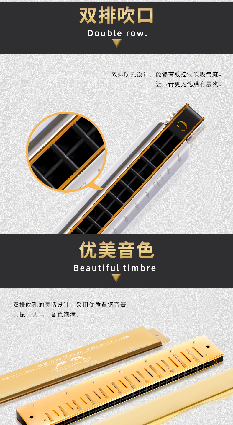 Harmonica người mới bắt đầu người lớn Giới thiệu học sinh trẻ tự học nhạc cụ 24 lỗ tremolo Harmonica c - Nhạc cụ phương Tây trống lắc
