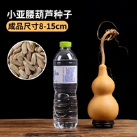 Xiaoya waist 10 зерен