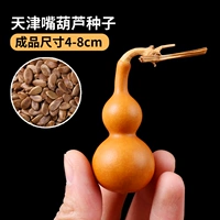 Тяньцзин рта тыква 20 капсул