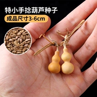 Особые руки скручивание 50 зерен