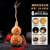 Лидер сокровищ Чакая 19-23 см (купить один получен шесть за один получен)