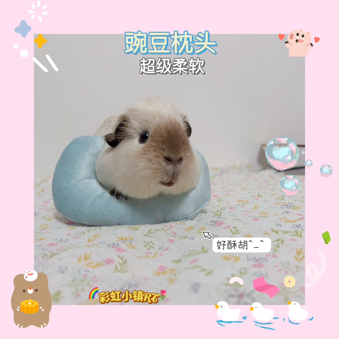 Dutch pig guinea pig Pea Pillow U Type Pillow Pet Rainbow Town 79-Taobao