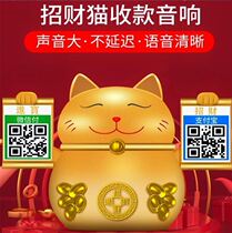 Alipay micro collection letter prompt audio device Bluetooth wireless collection code voice player shop decoration