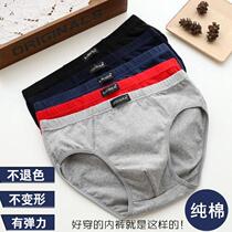 3-piece Mens triangle underwear cotton plus size Middle waist cotton sexy loose pants youth shorts head Summer