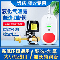Liquefied gas alarm catering hotel gas tank leakage propane detection safety valve gas automatic shut-off valve