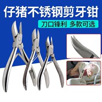 jian ya qian pig stainless steel piglet jian ya qian pig jian chi qian paparazzi rabbit veterinary broken teeth clamp toothed scissors