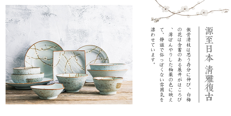 Blueberries 2 bowl dish suits for Japanese food imported from Japan ceramics tableware household bowl dish dish suits for lovers