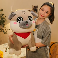 Песчаная собака