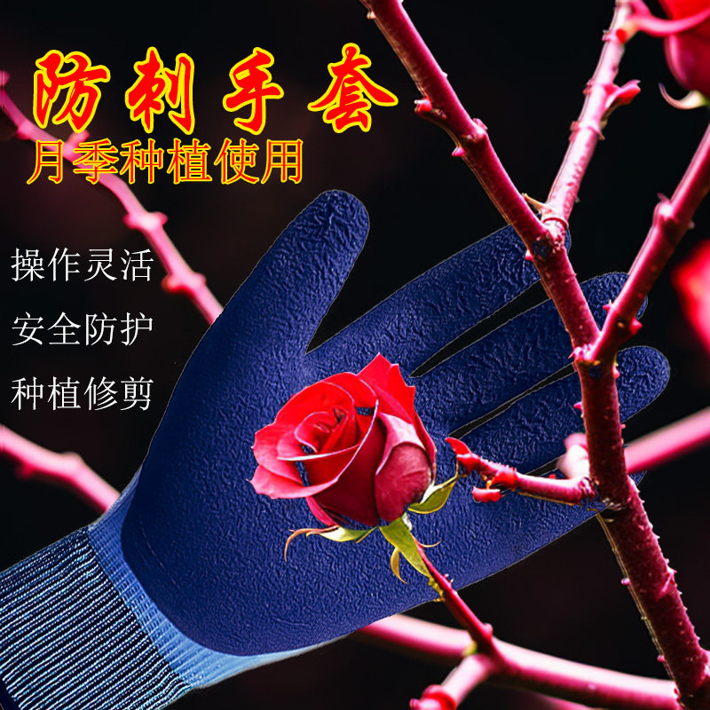 防刺手套园艺劳保耐磨摘花椒月季摘菜专用防污水防扎干活防水户外